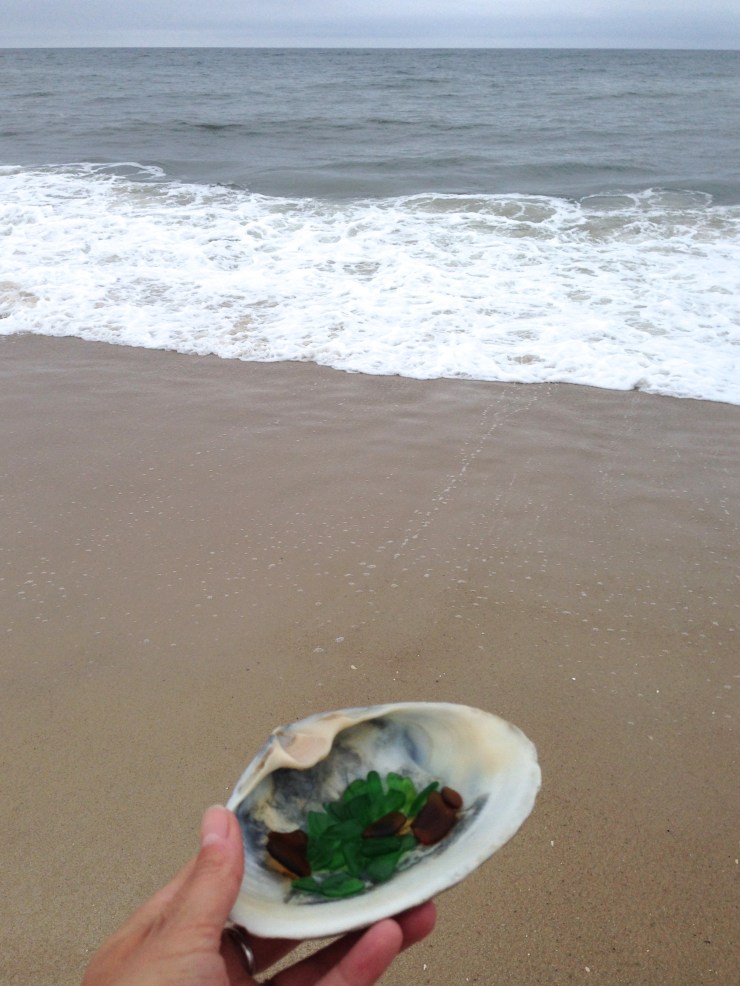 beach_glass_shell_ocean