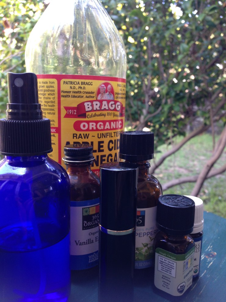 DIY_bug_spray